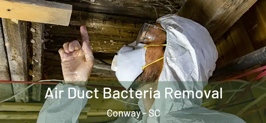  Air Duct Bacteria Removal Conway - SC