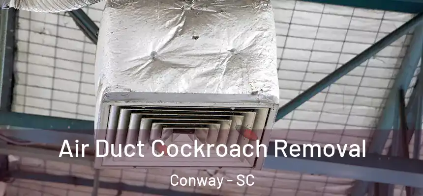  Air Duct Cockroach Removal Conway - SC