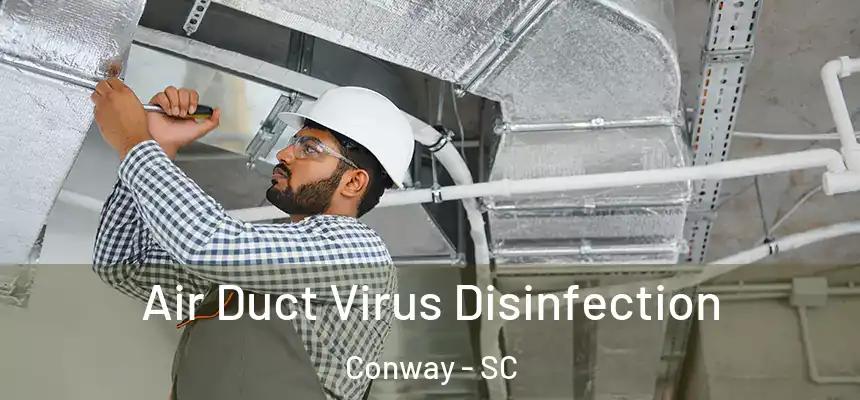  Air Duct Virus Disinfection Conway - SC