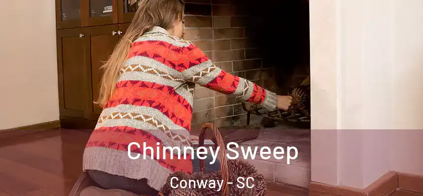  Chimney Sweep Conway - SC
