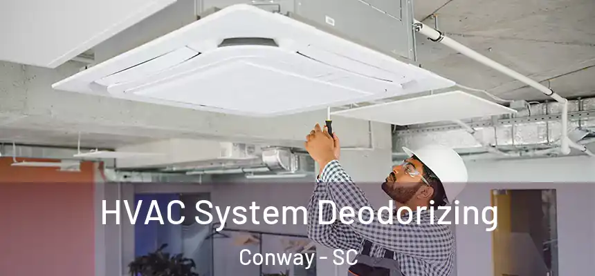  HVAC System Deodorizing Conway - SC