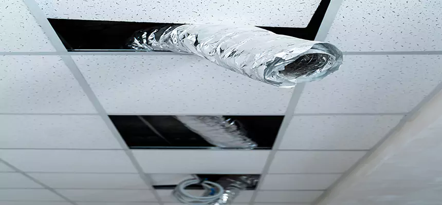 Affordable HVAC Sanitizing After Pest Removal in Conway