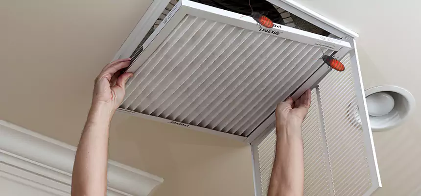 Our Insect Removal from Air Ducts Services in Conway, SC
