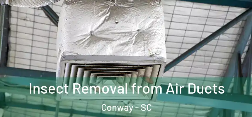  Insect Removal from Air Ducts Conway - SC