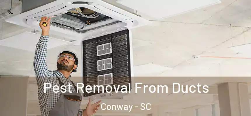  Pest Removal From Ducts Conway - SC