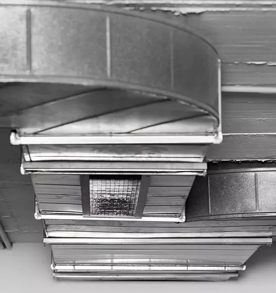 Professional Air Duct Pet Hair Removal in Conway, SC