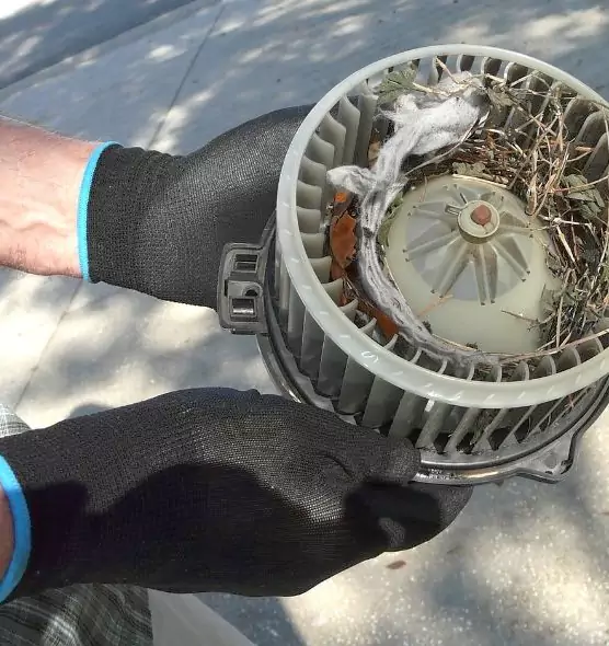 About Air Duct Rat Removal in Conway, SC