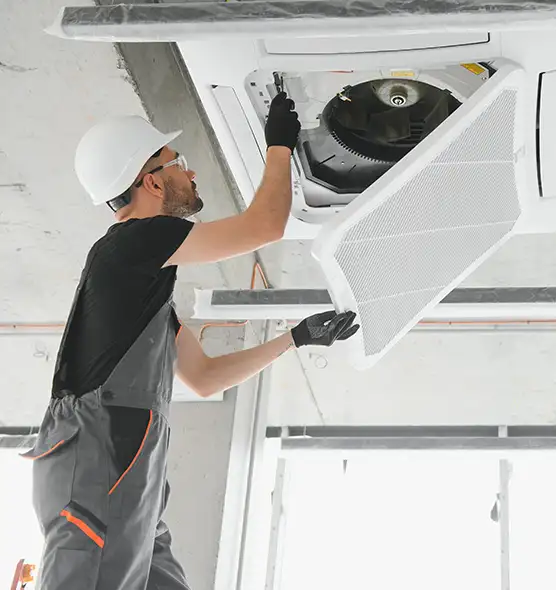 About Air Duct Rodent Removal in Conway, SC