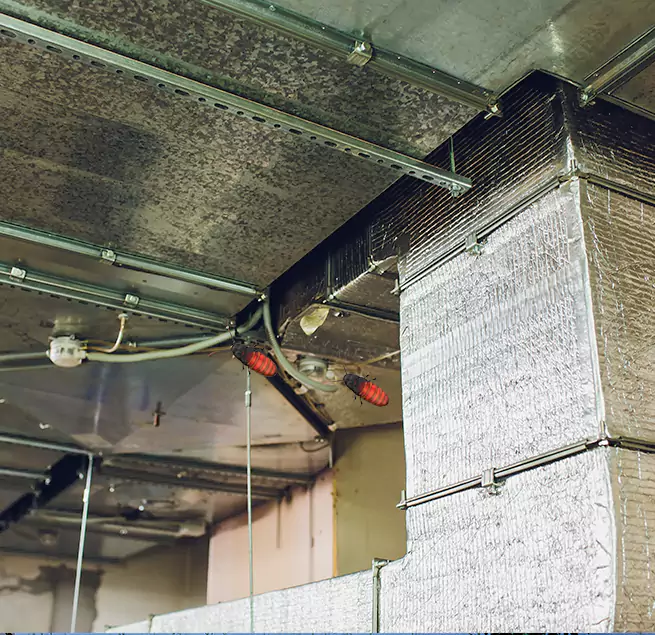 Why Homeowners & Businesses Trust Us in Conway, SC?