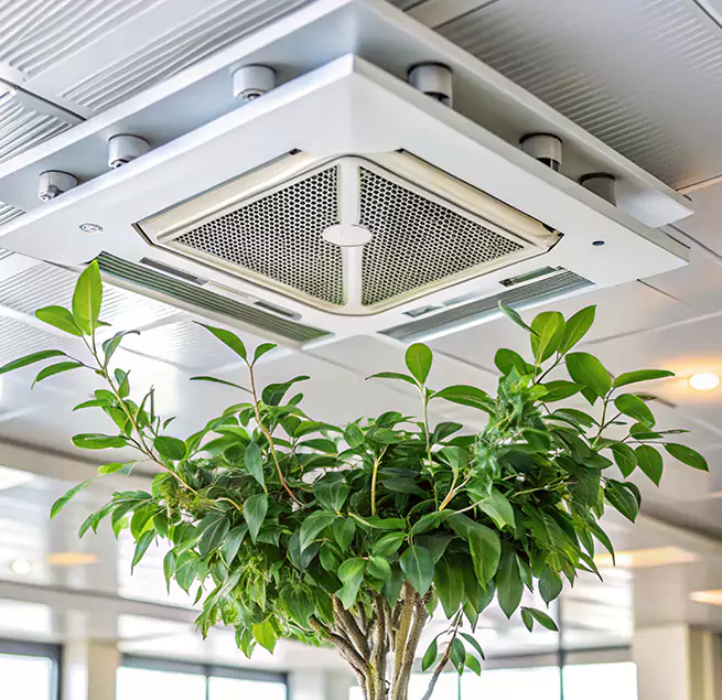 Why Homeowners & Businesses Trust Us in Conway, SC?