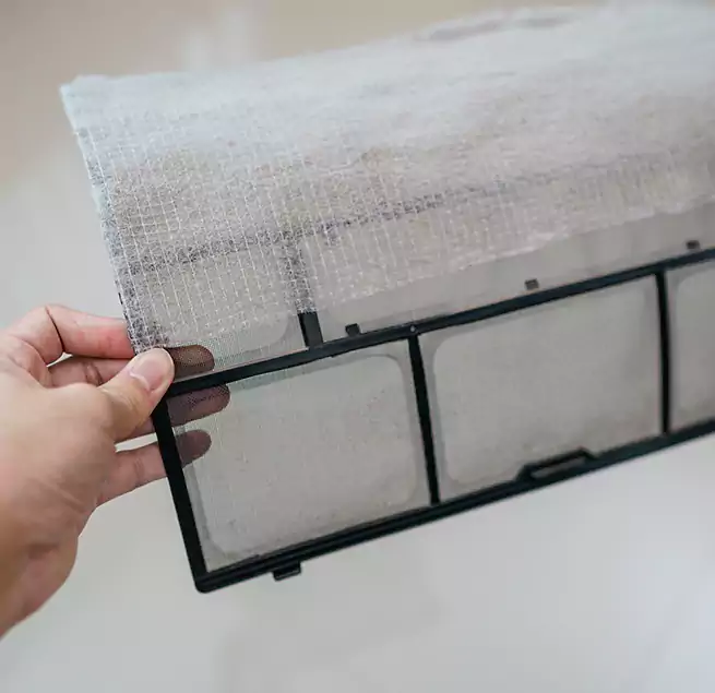 Why Homeowners & Businesses Trust Us in Conway, SC?