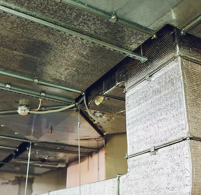 Why Homeowners & Businesses Trust Us in Conway, SC?