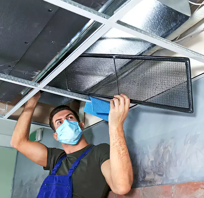 Why Homeowners Businesses Trust Us in Conway, SC